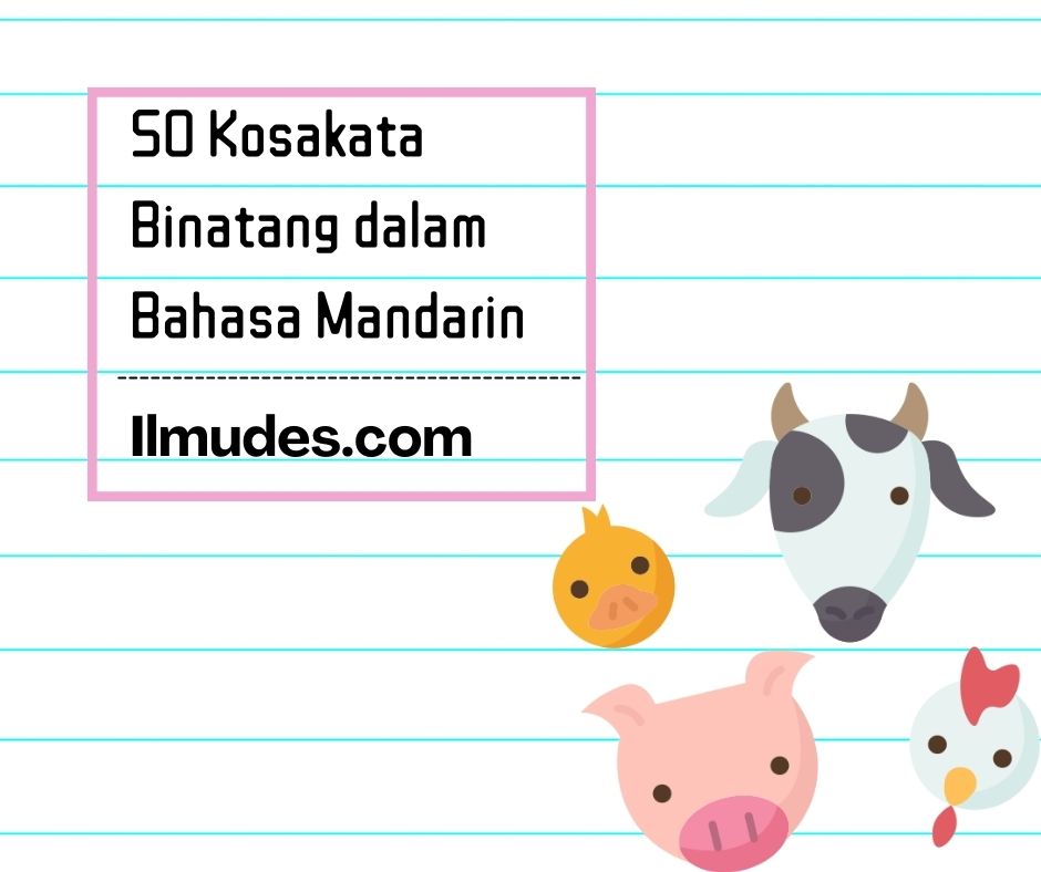 Kosakata Binatang dalam Bahasa Mandarin